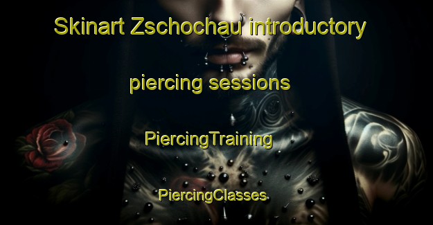 Skinart Zschochau introductory piercing sessions | PiercingTraining | PiercingClasses | SkinartTraining-Germany