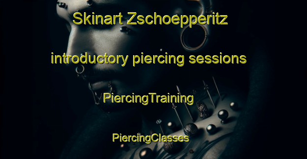 Skinart Zschoepperitz introductory piercing sessions | PiercingTraining | PiercingClasses | SkinartTraining-Germany