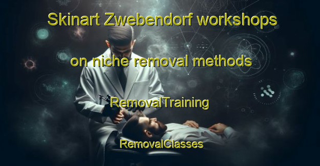 Skinart Zwebendorf workshops on niche removal methods | RemovalTraining | RemovalClasses | SkinartTraining-Germany