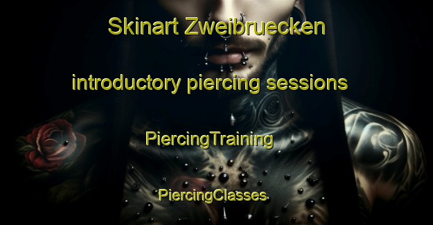 Skinart Zweibruecken introductory piercing sessions | PiercingTraining | PiercingClasses | SkinartTraining-Germany