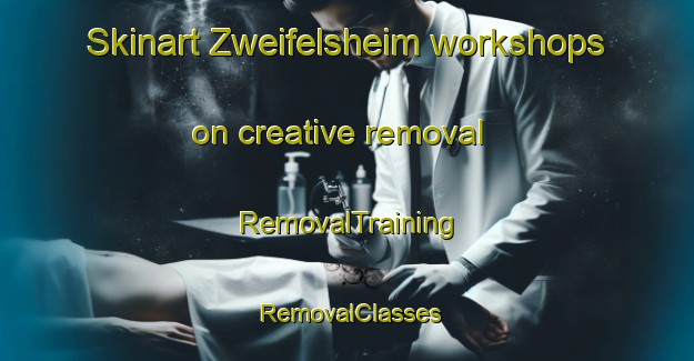 Skinart Zweifelsheim workshops on creative removal | RemovalTraining | RemovalClasses | SkinartTraining-Germany