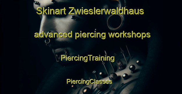 Skinart Zwieslerwaldhaus advanced piercing workshops | PiercingTraining | PiercingClasses | SkinartTraining-Germany